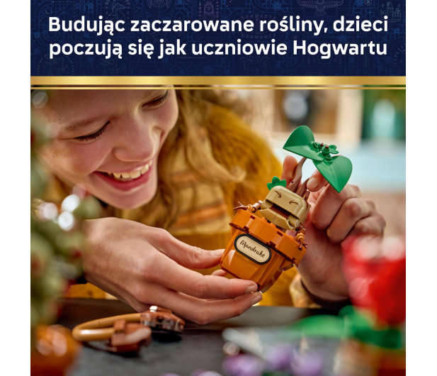 LEGO HARRY POTTER 76474 Rośliny z lekcji zielarstwa w Hogwarcie - 1529861 - zdjęcie 6